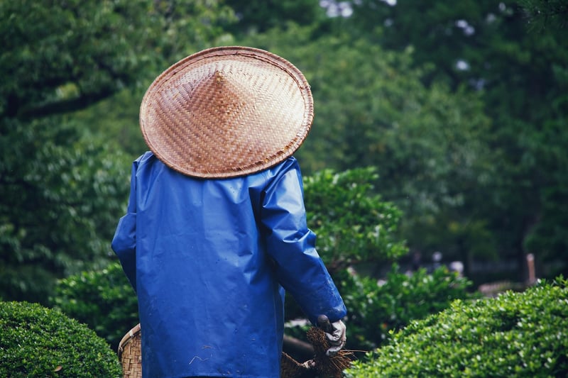 Landscaping Image